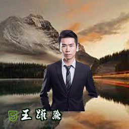 王跃飞